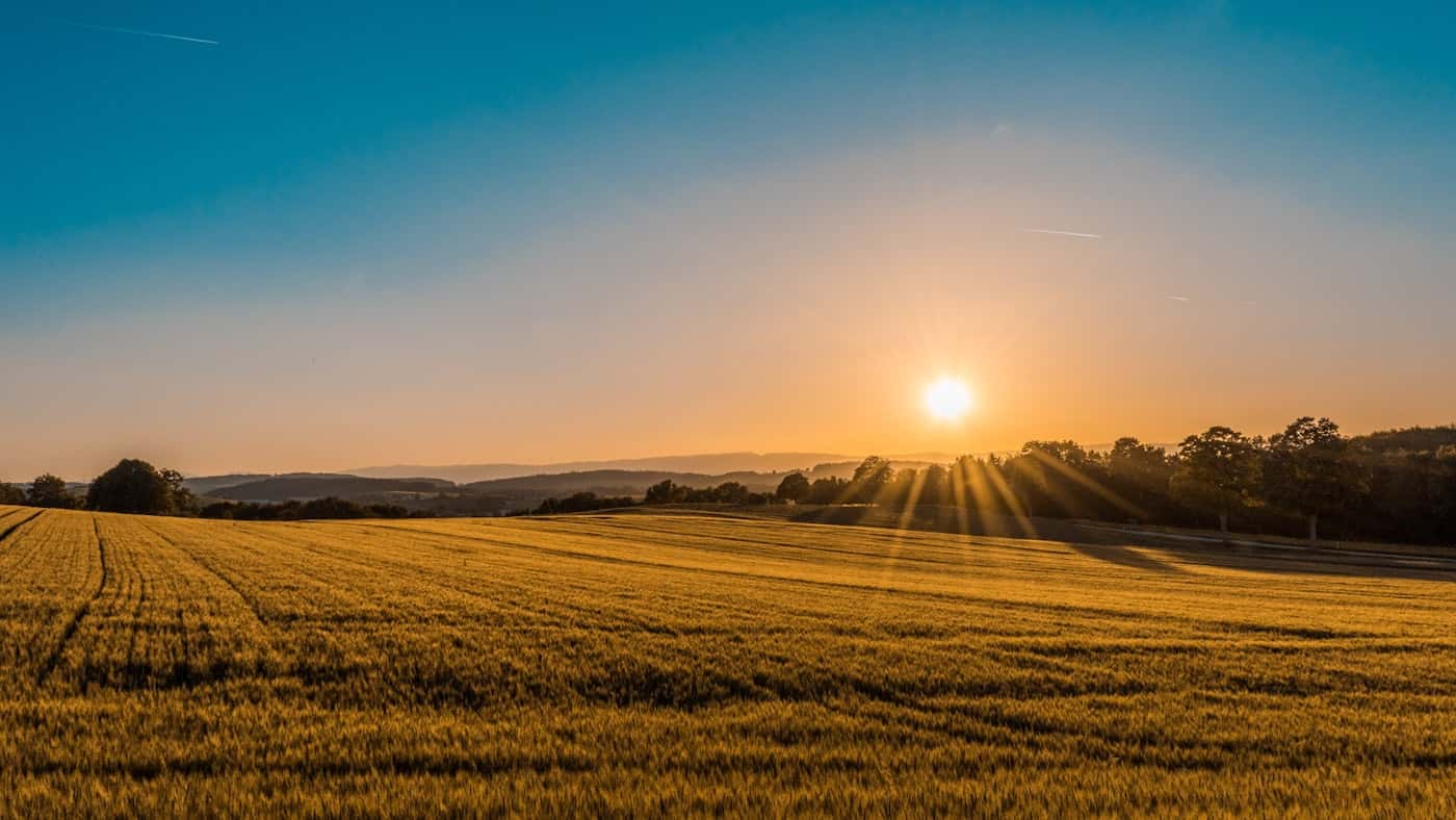 Terreno em área aberta