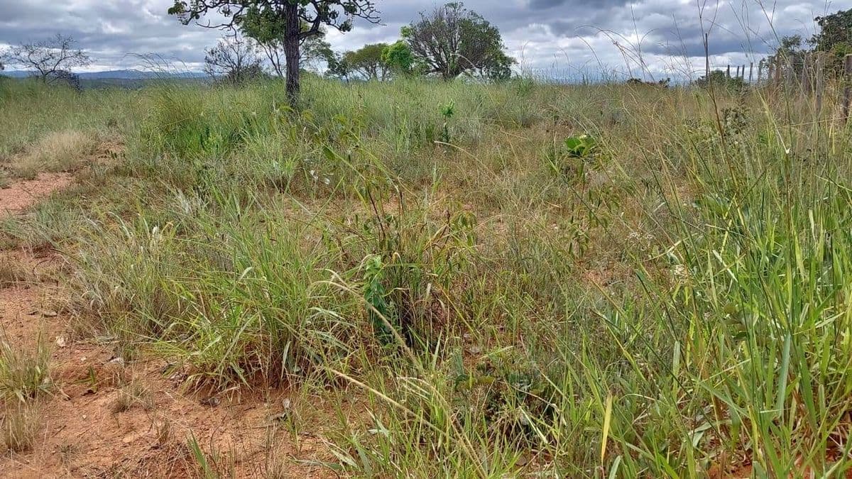Lote/Terreno à Venda - Jaboticatubas