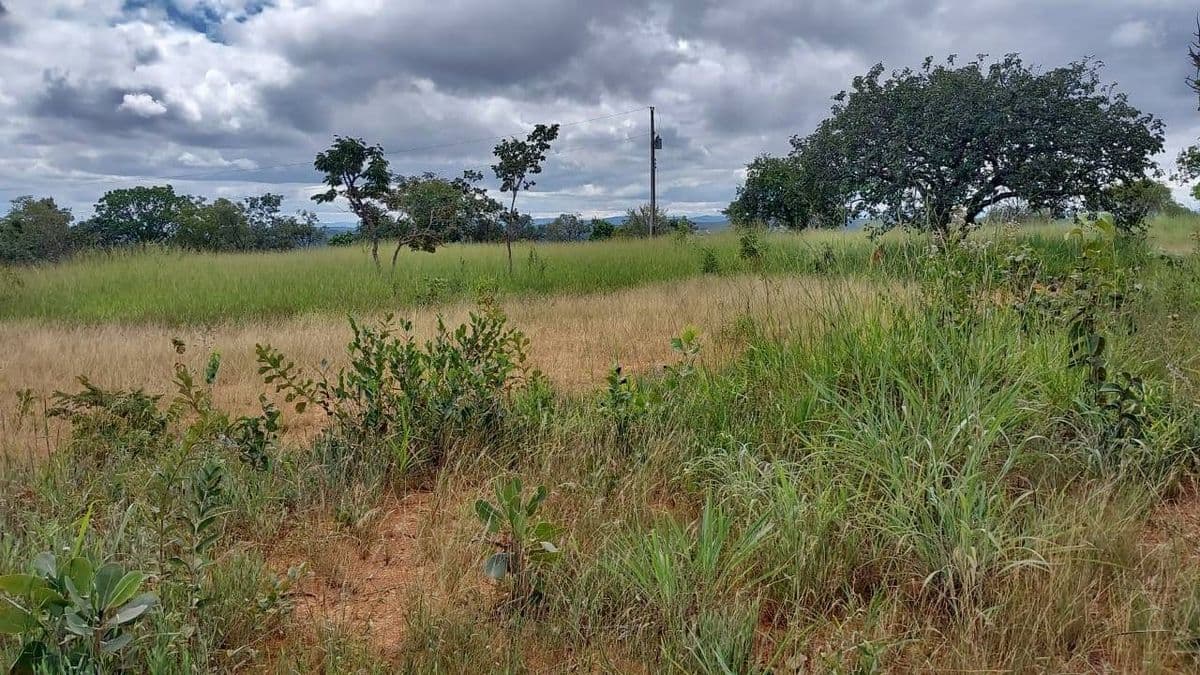 Lote/Terreno à Venda - Jaboticatubas